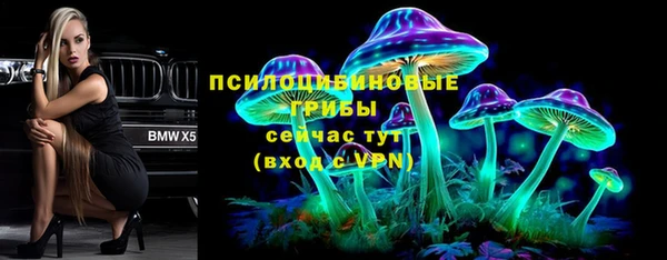 гидра Нея