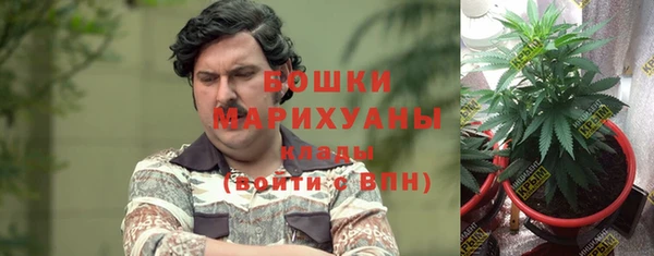 гидра Нея
