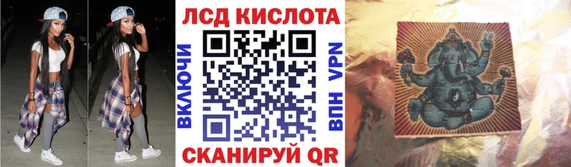 Марки N-bome 1500мкг  Судак 