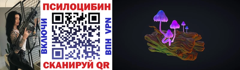 Галлюциногенные грибы Cubensis Судак